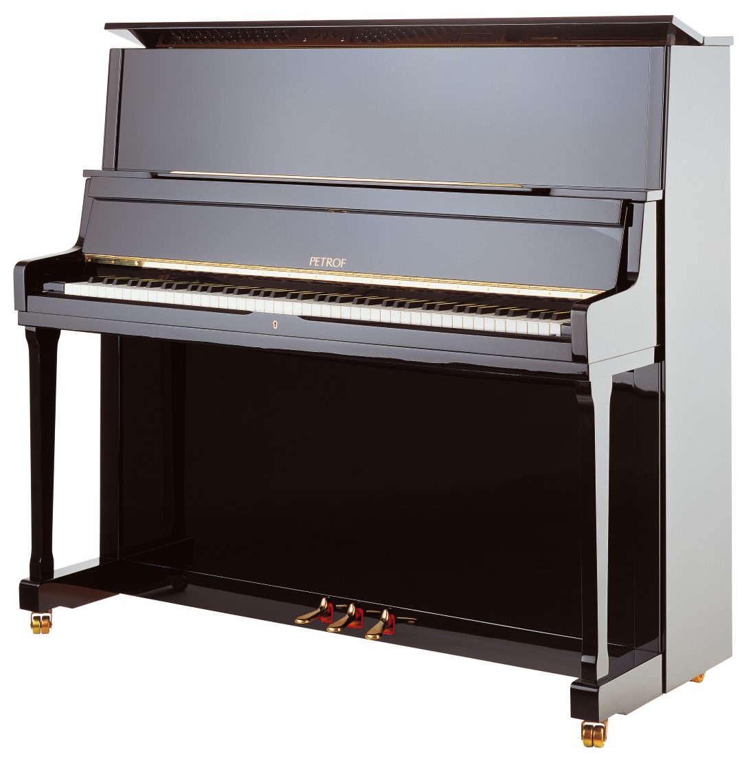 P 131 E1 (Large)