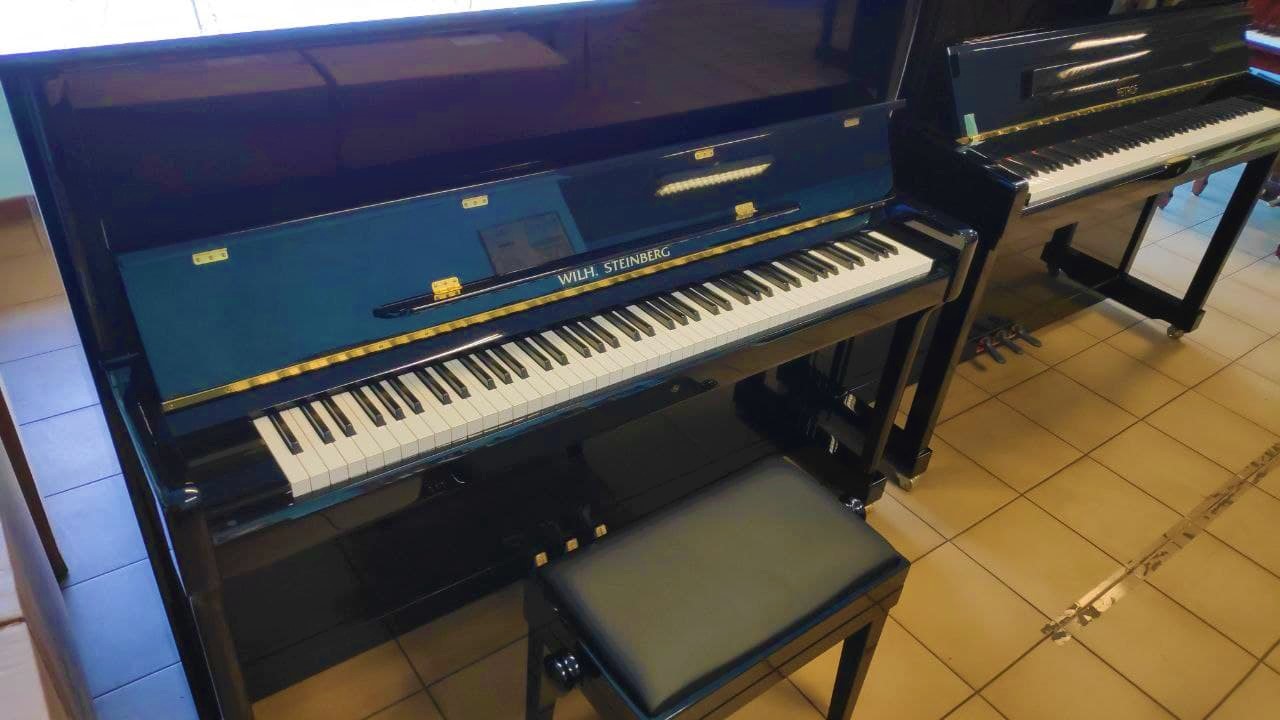 Steinberg 118 nero - intero