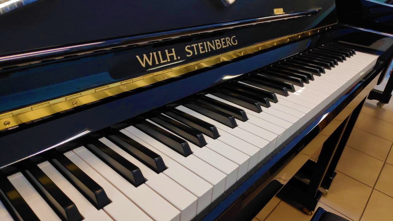 Steinberg 118 nero - marchio