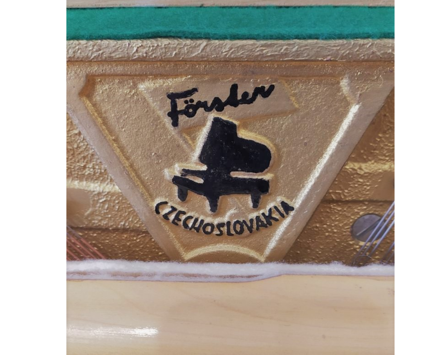 Forster 115 marchio (1)