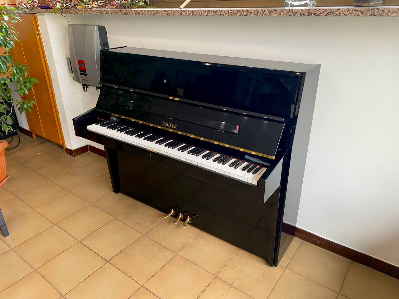 Sauter 115 nero lucido Pianoforti Bergamini — free download