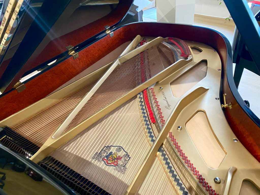 WhatsApp Image 2026-03-06 at 18.07.45 (1)