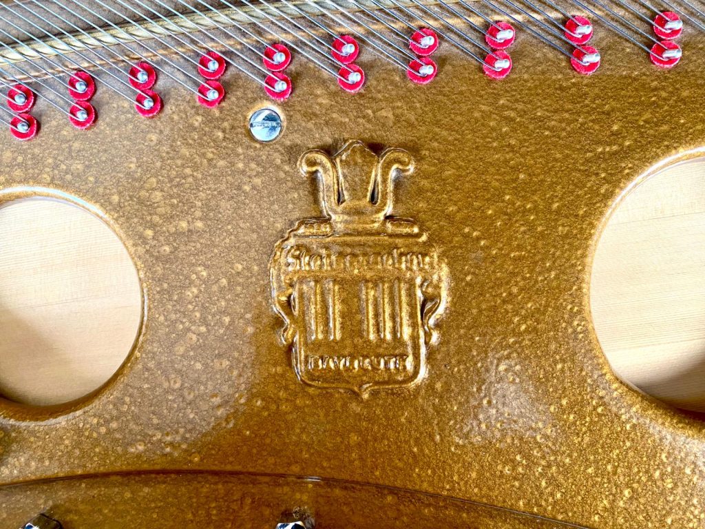 WhatsApp Image 2026-03-05 at 16.06.35 (1)