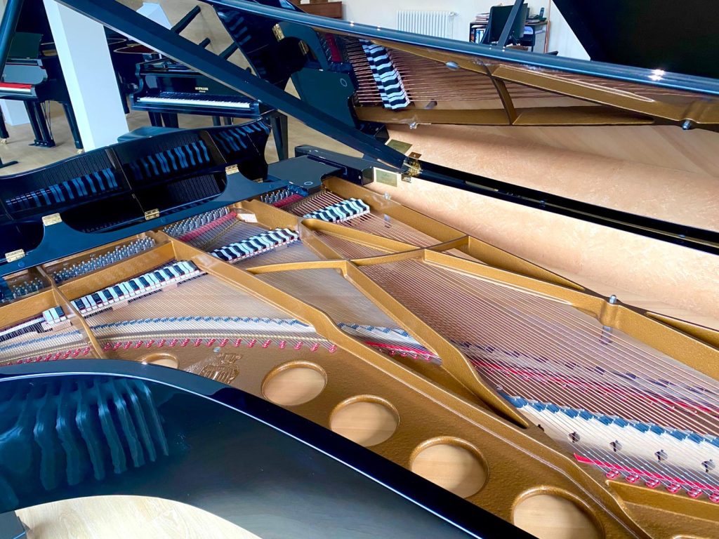 WhatsApp Image 2026-03-05 at 16.06.35