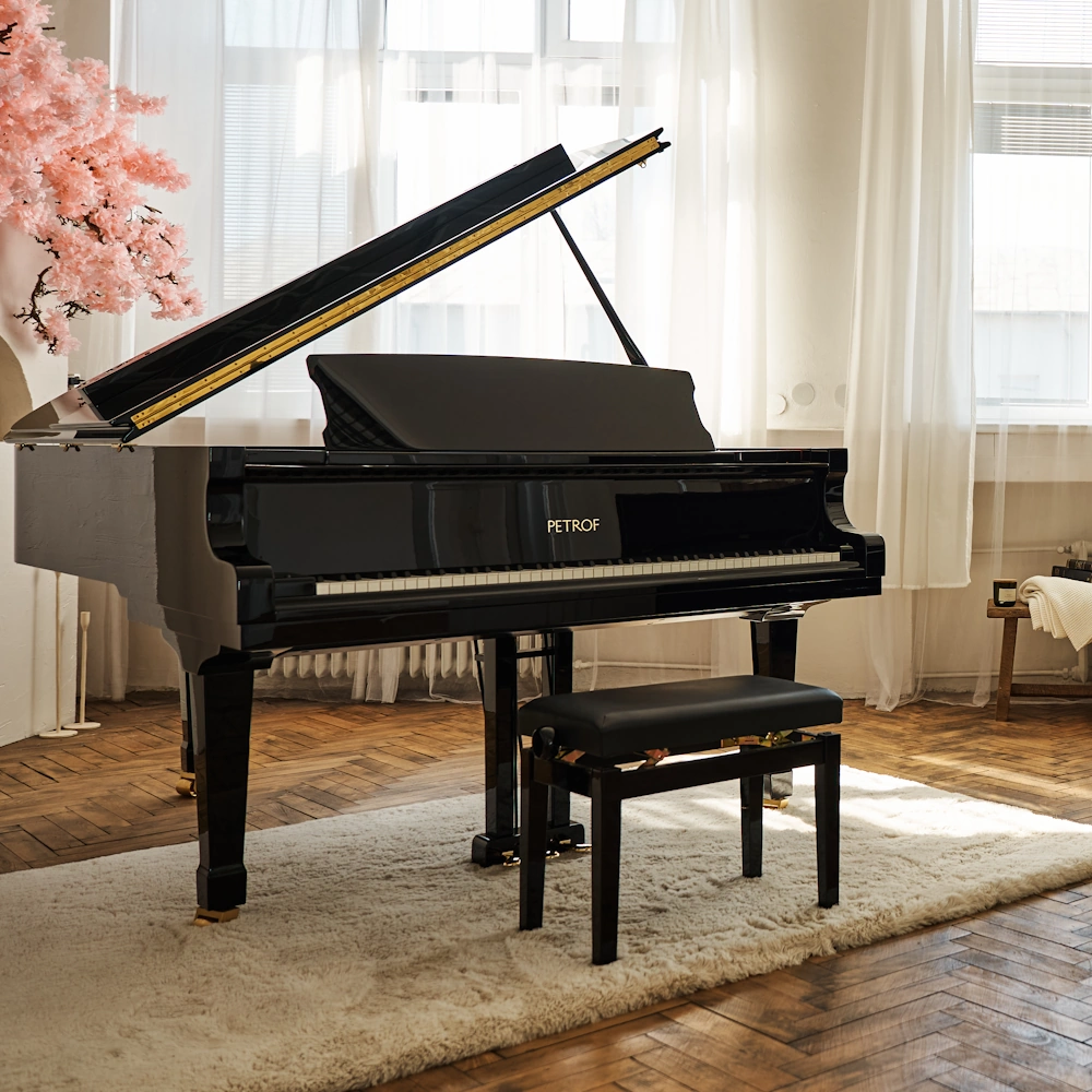 Pianoforte Coda - Petrof P194 Storm