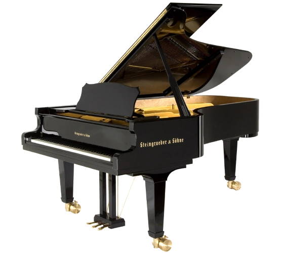 Steingraeber D-232