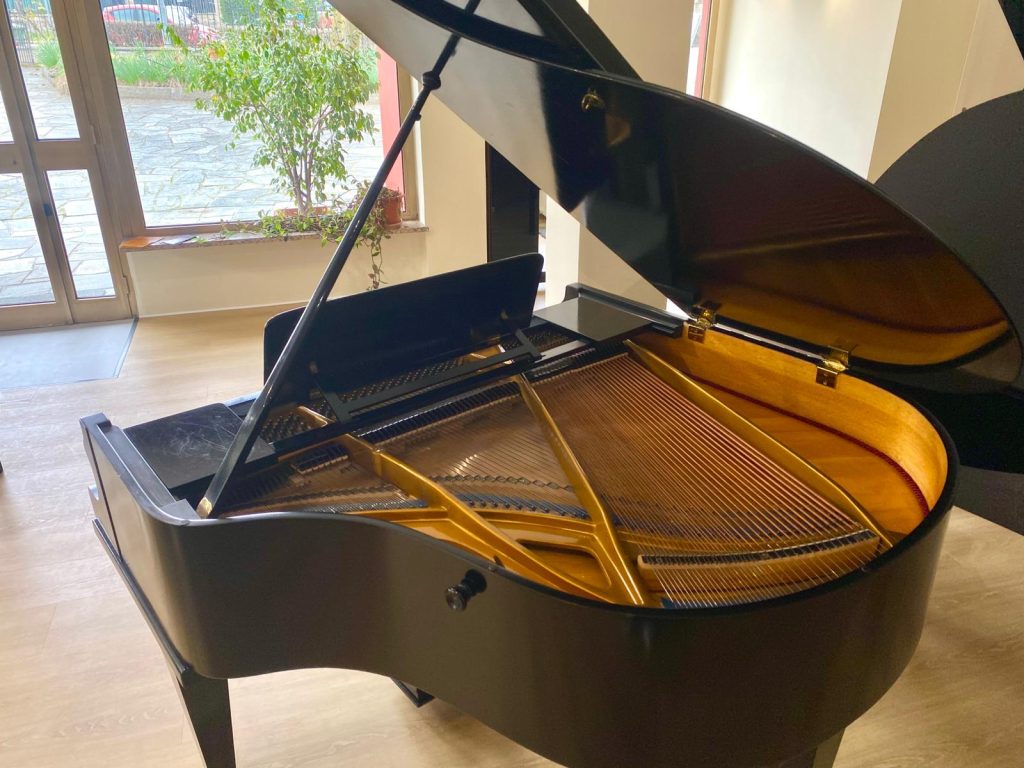 WhatsApp Image 2026-03-05 at 16.10.34 (2)