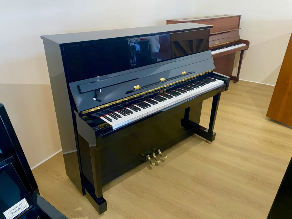 C. Baer 118 nero lucido